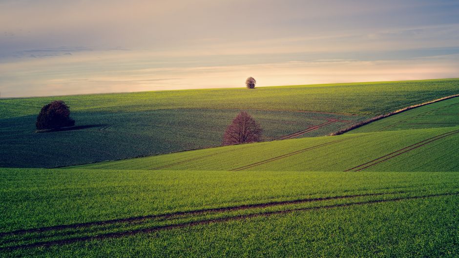 The Connection Between Body And Mind: Practical Steps You Can Use